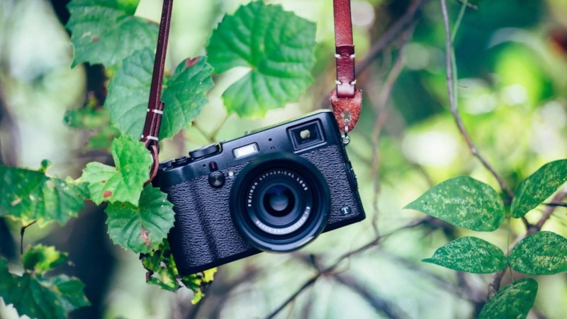 Фото грядок перед урожаем: секрет дачников Фото грядок перед урожаем: секрет дачников