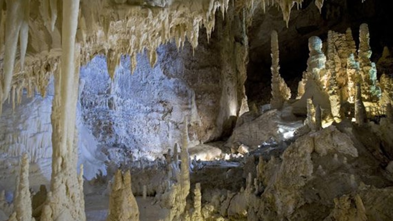 Пещера под Липецком: новая находка