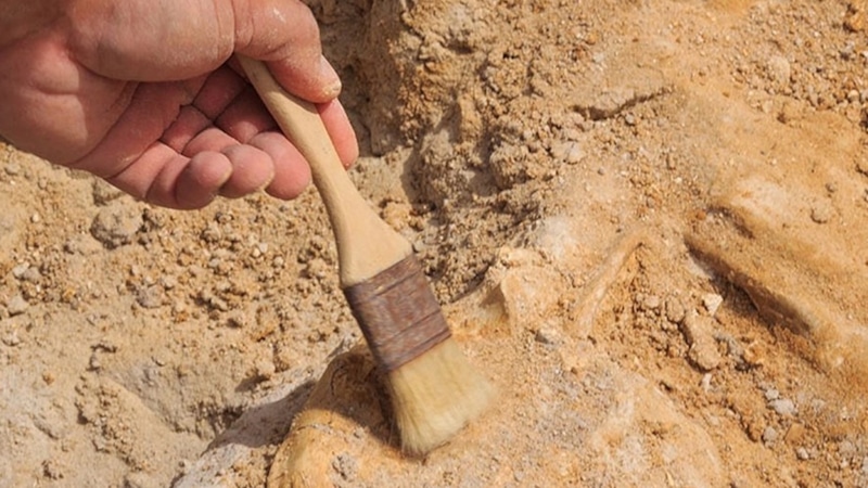 Архаичное оружие: мастерская древности