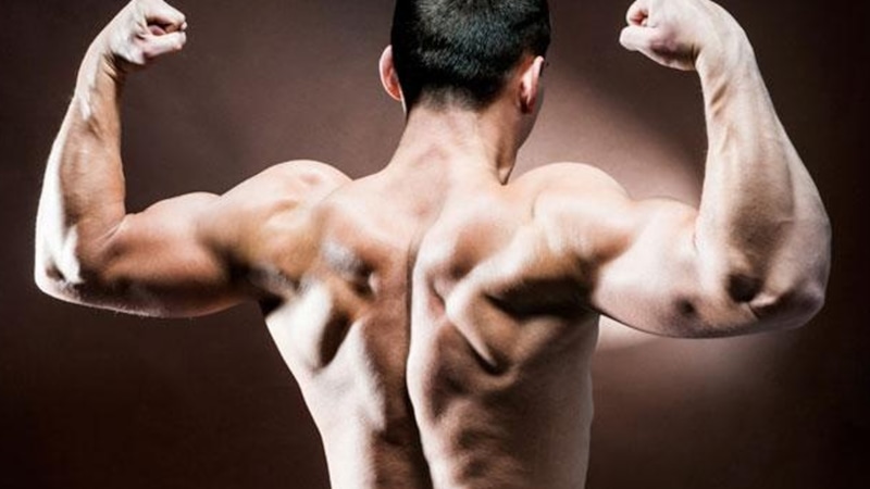 Рекомпозиция тела: мышцы и жир