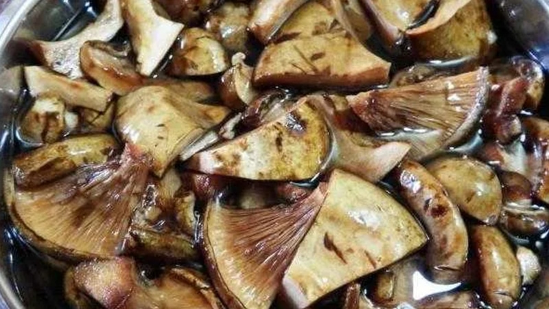 Маринованные свинушки в банке: осенний продзапас