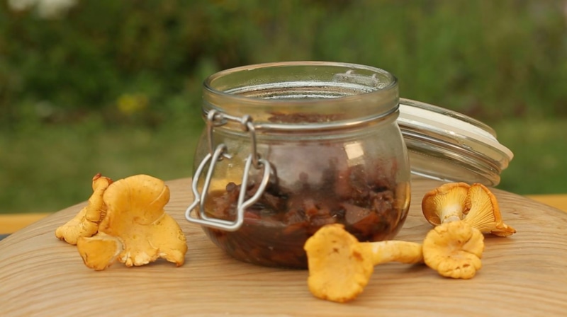 Варенье из лисичек: с брусничным соком и специями Варенье из лисичек: с брусничным соком и специями