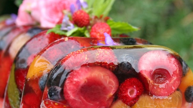 Фруктовый террин: лето в желе