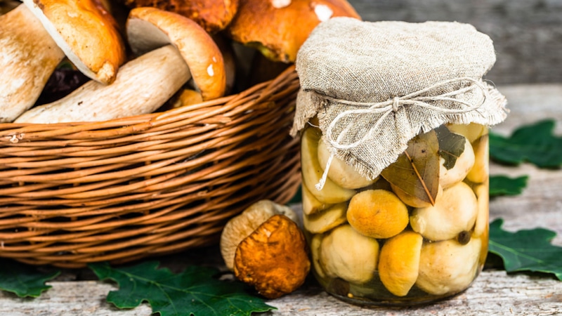 Опасность грибных консервов: ботулизм не дремлет