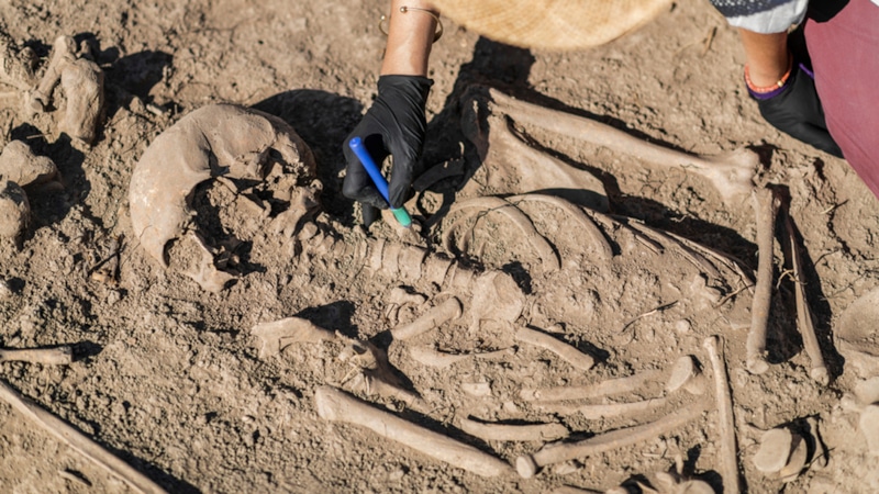 Скифское захоронение: воин с оружием