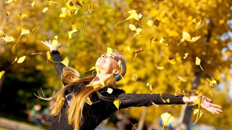 Осенняя энергия: сон и питание