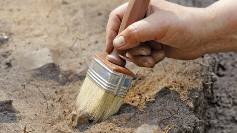 Древняя мозаика: забота о старейшинах