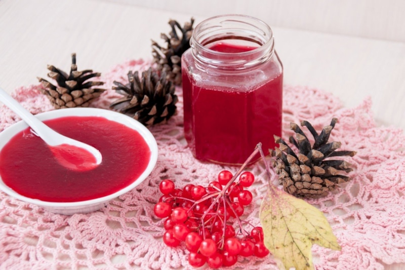 Домашний сироп из калины: вкусно и с пользой