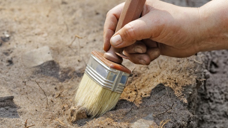 Индийская монета: находка во Владимире