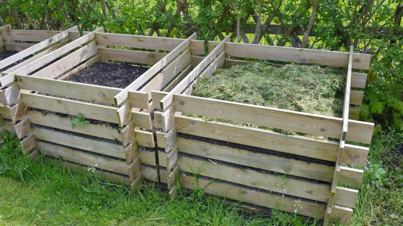 Опасные растения для компоста: составляем список