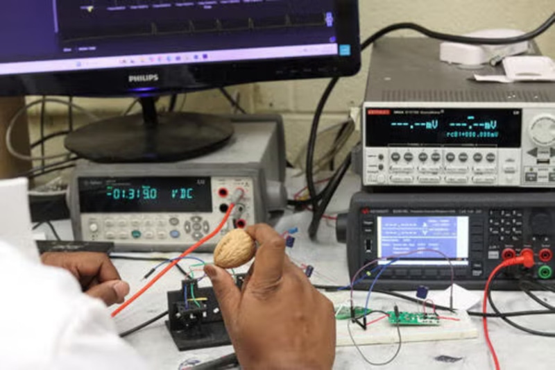 Скорлупа ореха: превращение в источник энергии