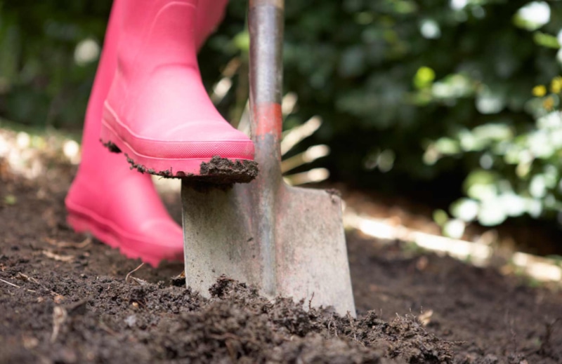 Весенние грядки: отказ от перекопки Весенние грядки: отказ от перекопки