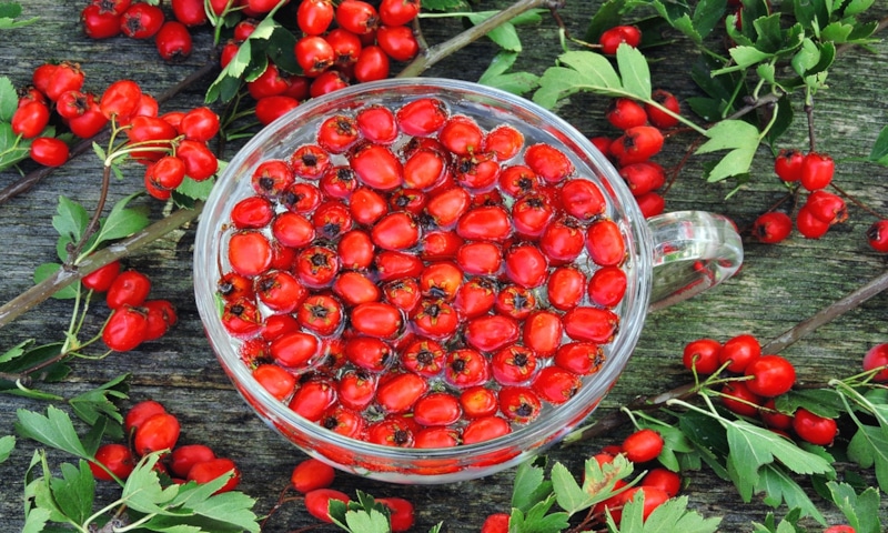 Пирог с боярышником: вкусно и полезно