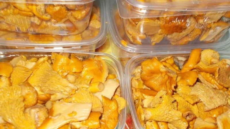 Лисички круглый год: лесное золото на зиму