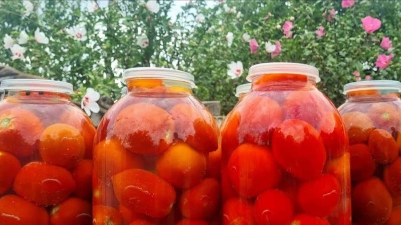 Маринованные томаты с калиной: вкус и польза