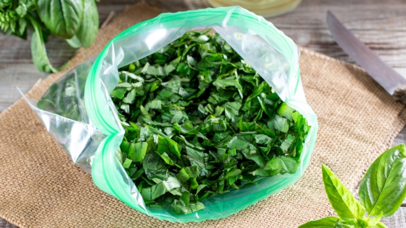 Кубики из базилика: морозим на зиму
