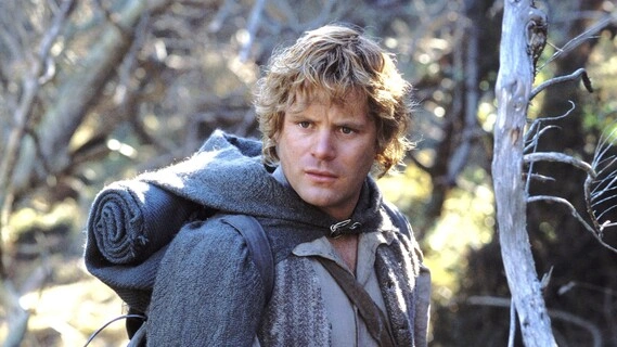 Шон Эстин в фильме «Влaстелин колец»