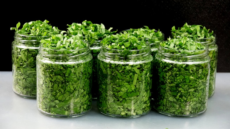 Соленая зелень: заготовка на зиму Соленая зелень: заготовка на зиму