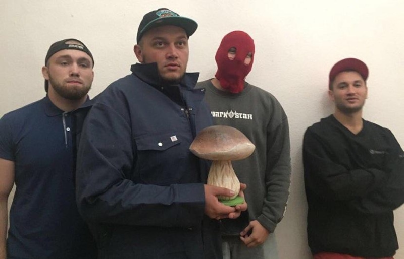 Киевстонер в группе «Грибы»