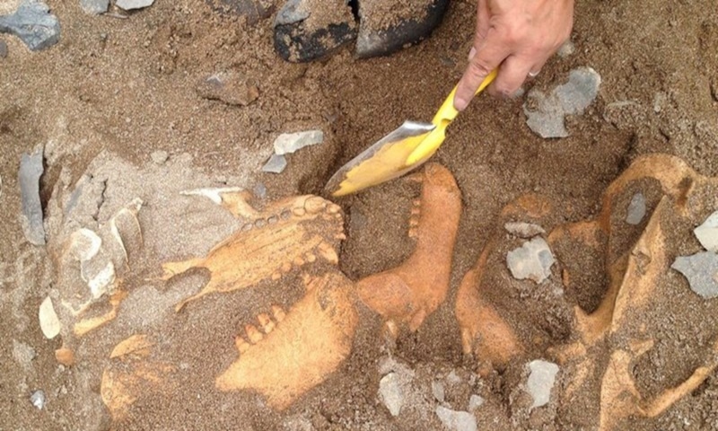 Артефакты Сибири: курганы и бронза