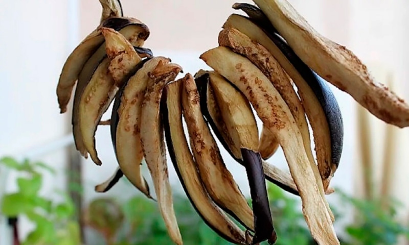 Сушеные баклажаны: грибной аромат