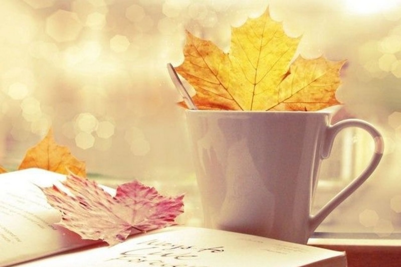 Осень и иммунитет: простые правила Осень и иммунитет: простые правила