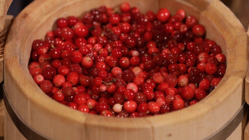 Моченая брусника: витаминный запас на зиму