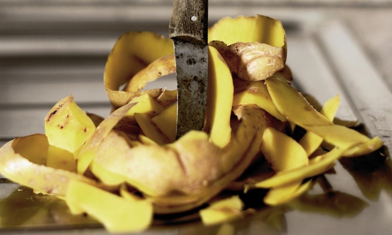 Эко-удобрения: превращаем отходы в урожай Эко-удобрения: превращаем отходы в урожай