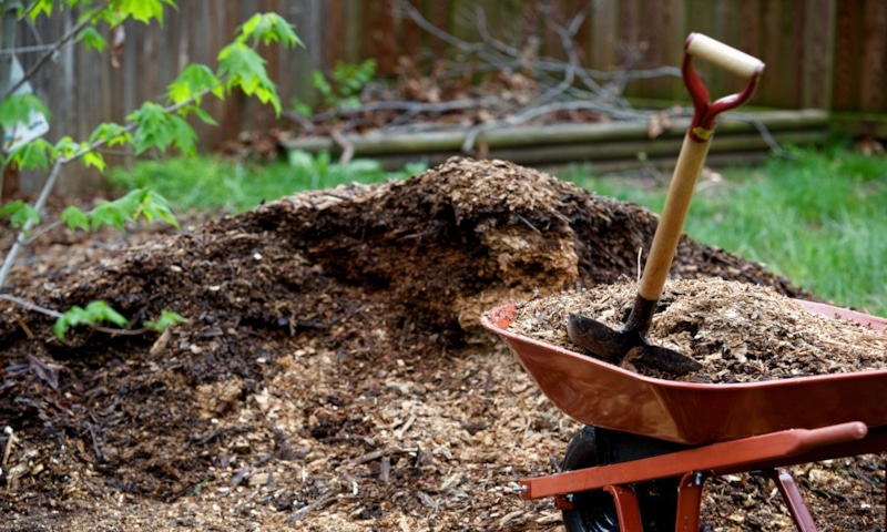 Осенняя подготовка почвы: органика и сидераты Осенняя подготовка почвы: органика и сидераты