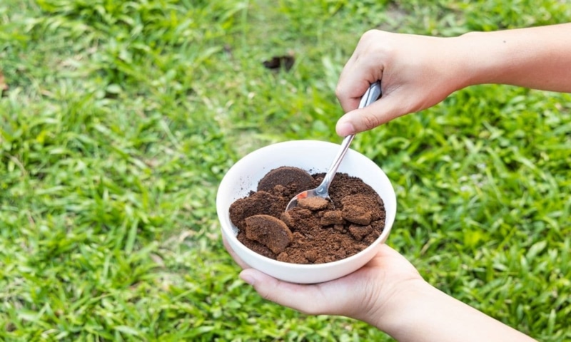 Кофейная гуща: риск для огорода