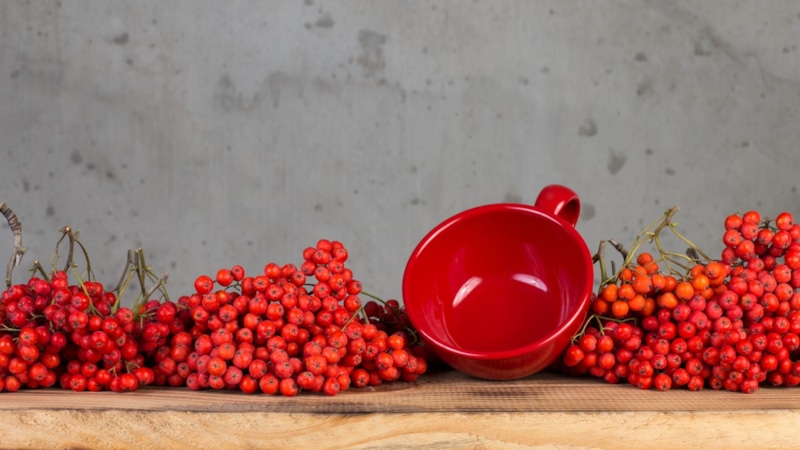 Рябина с сахаром: зимняя сладость