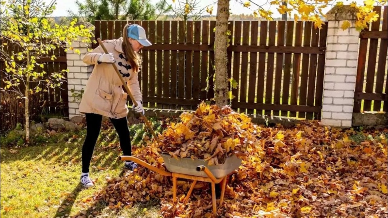 Сентябрь в саду: работы на участке