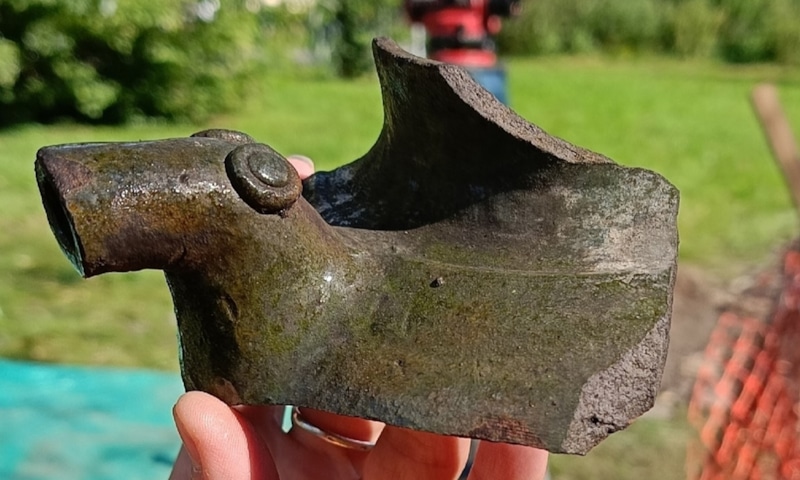 Псковская находка: зверек-водолей