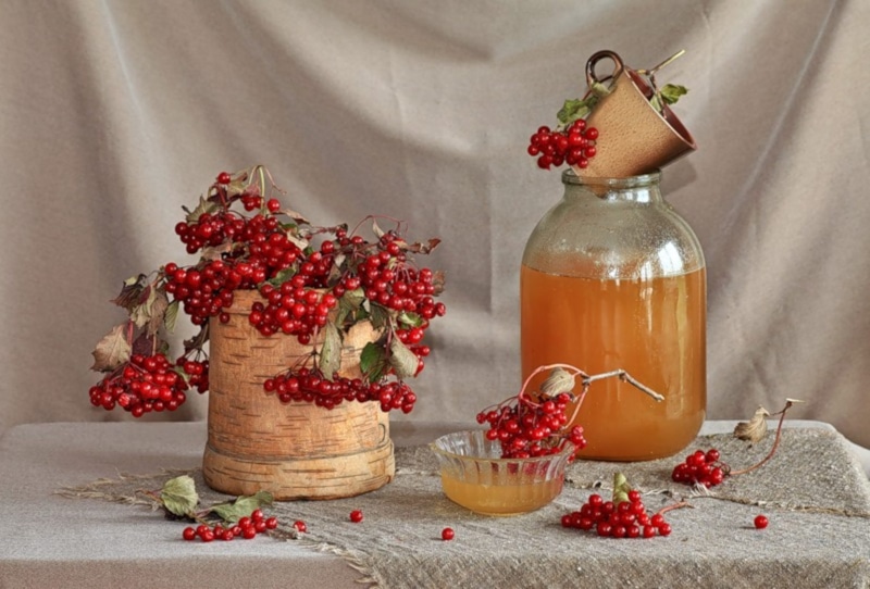 Рябиновый квас: рецепт домашнего напитка