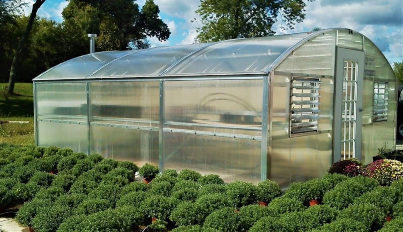 Подготовка теплицы: залог богатого урожая