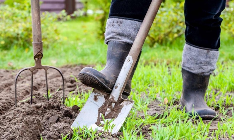 Улучшение почвы осенью: простые и эффективные методы