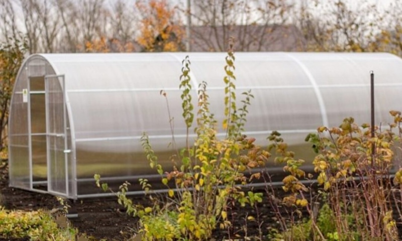 Обработка теплицы осенью: дезинфекция и восстановление почвы