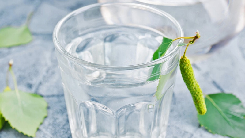 Березовый сок: живое дыхание природы