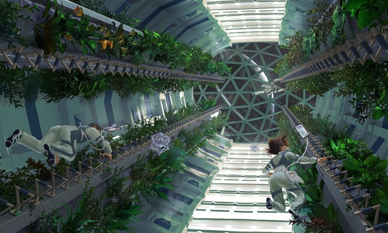 Космический огород: выращивая пищу для Марса