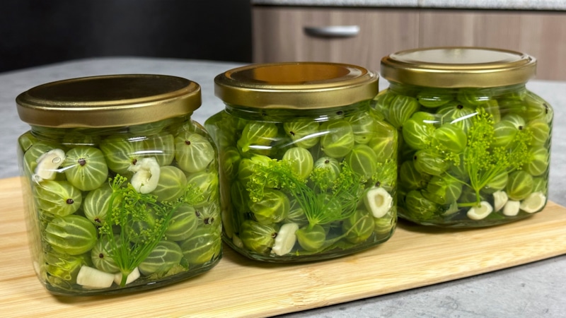 Маринованный крыжовник с горчицей: рецепт пикантной закуски Маринованный крыжовник с горчицей: рецепт пикантной закуски