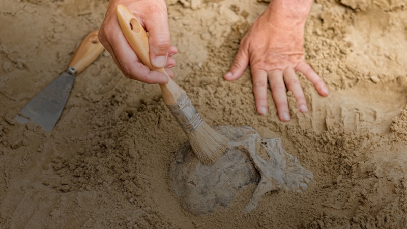 Женщины неолита: шахтерский труд