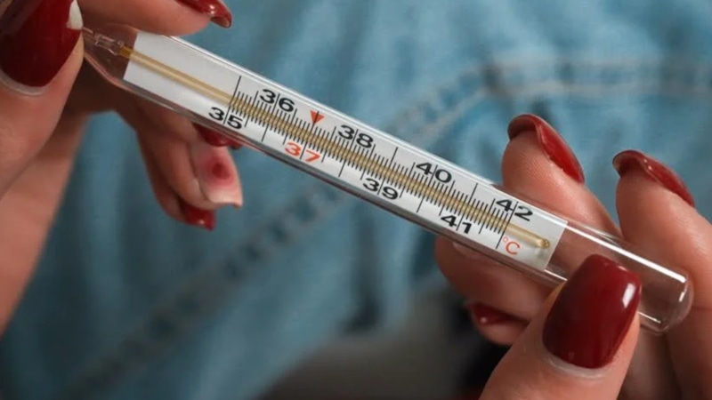 Гены и терморегуляция: жар и холод