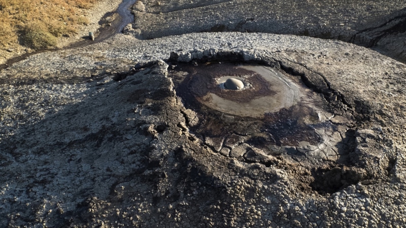 Древние алтари с быками: находка в кургане Тадым-Хююк