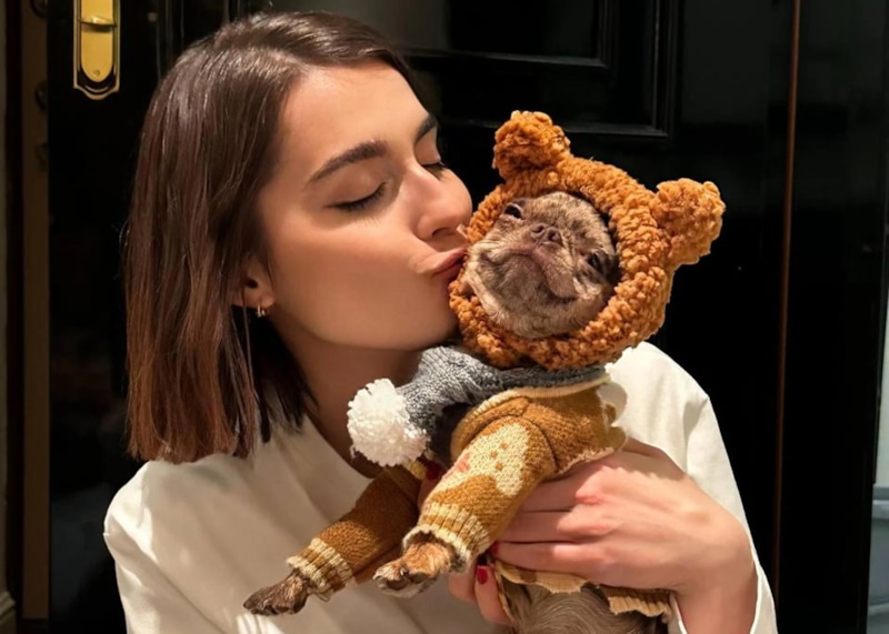 Любимые питомцы звезд попали в лапы живодёров