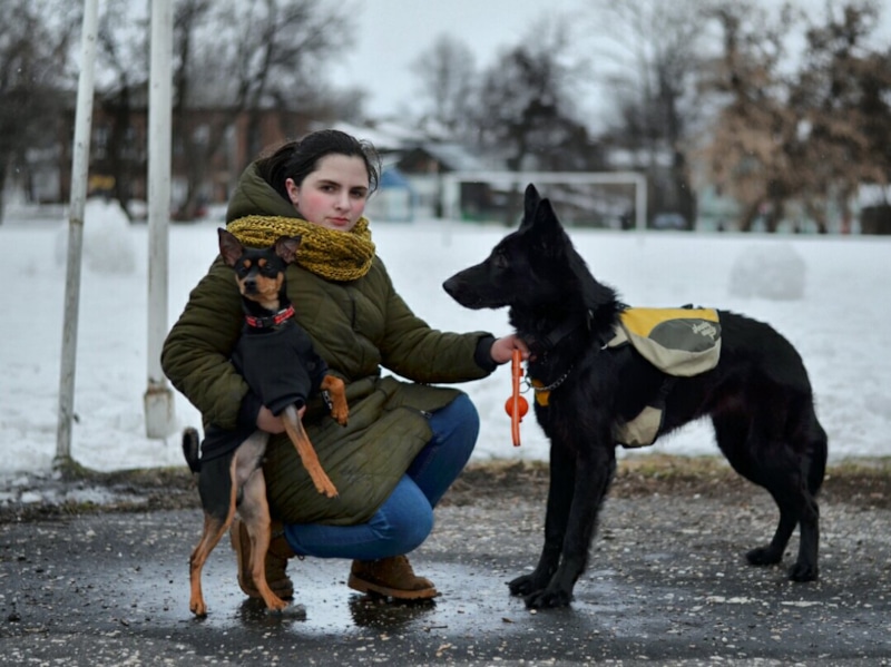 Карина Гитиномагомедова обвиняется в жестоком обращении с животными Карина Гитиномагомедова обвиняется в жестоком обращении с животными