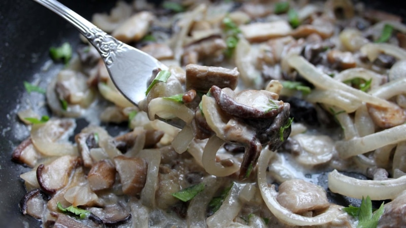 Лесные подберезовики в сметане: домашнее тепло