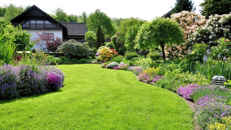 Осенний газон: сила перед зимой