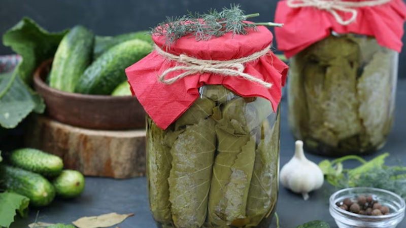 Огурцы в виноградных листьях: рецепт на зиму Огурцы в виноградных листьях: рецепт на зиму