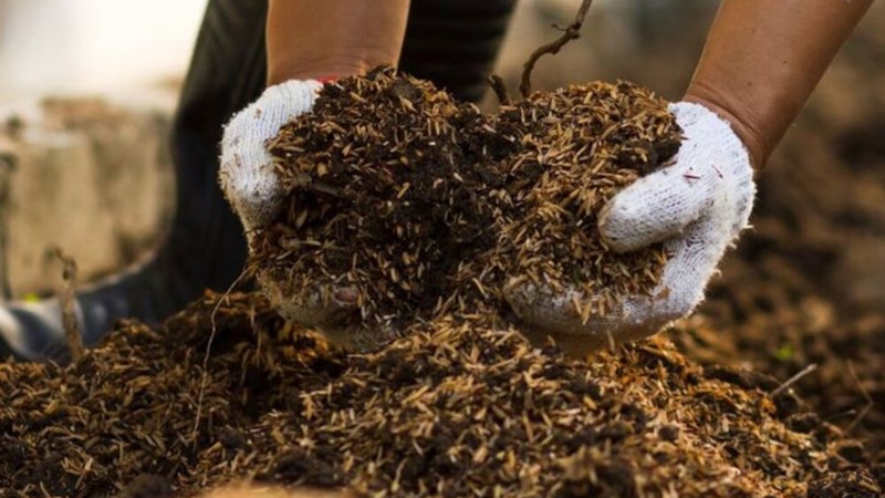 Ускоренное компостирование с дрожжами: секрет дачников