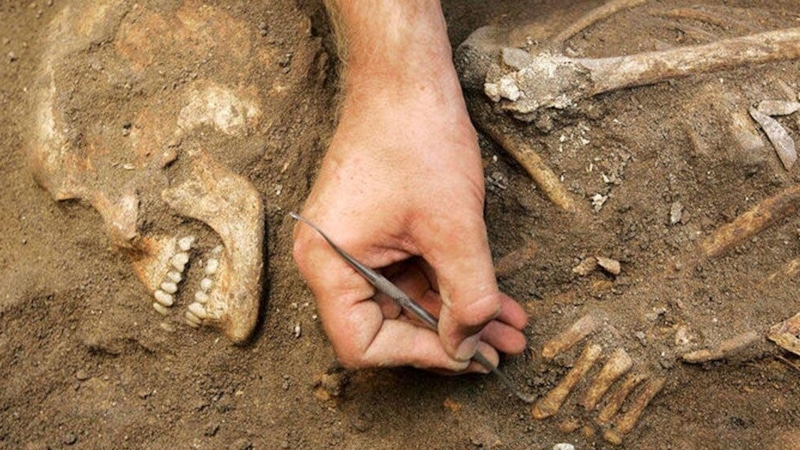 Массовое захоронение воинов: древняя находка